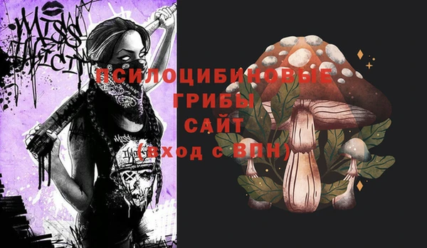 первитин Балахна