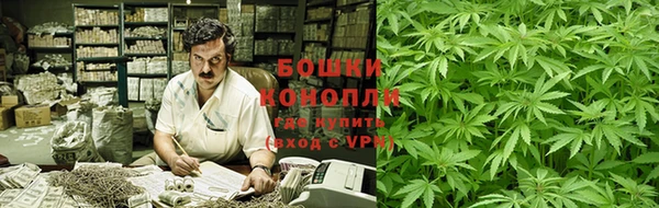 крисы Сатка