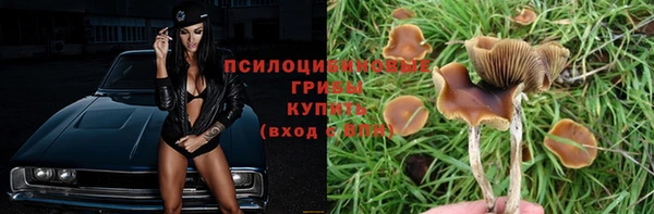 гидропоника Балабаново
