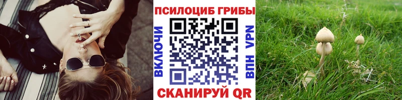 даркнет сайт  Красный Холм  Галлюциногенные грибы Magic Shrooms 